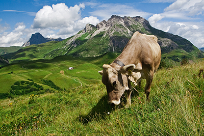 Erlebnisreisen-Teaser1