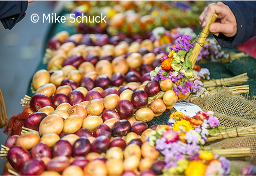 Mike-Schuck