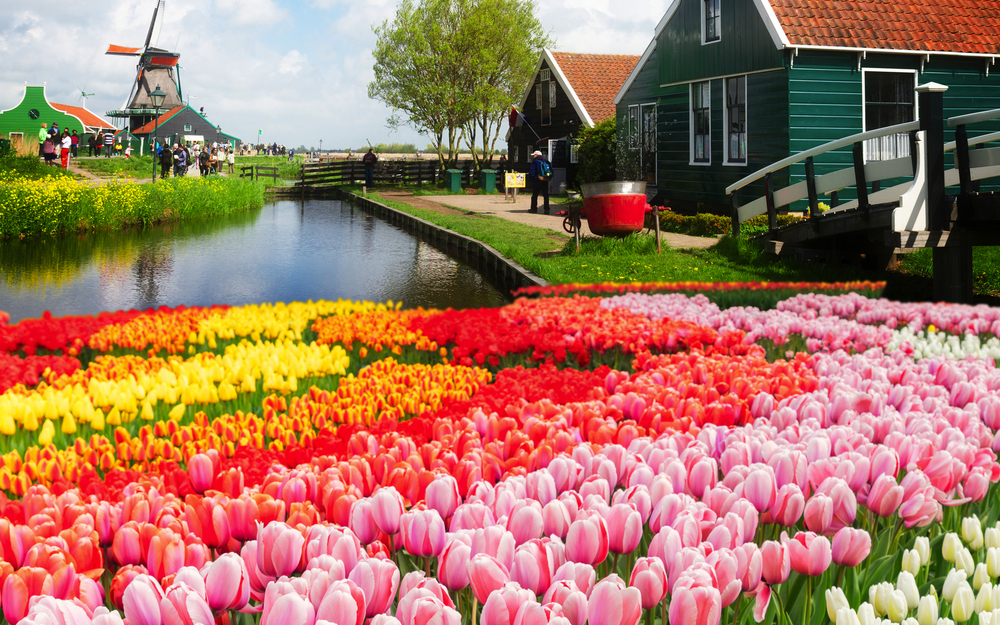 kleine Holzhäuser und Kanal in Zaanse Schans in den Niederlanden