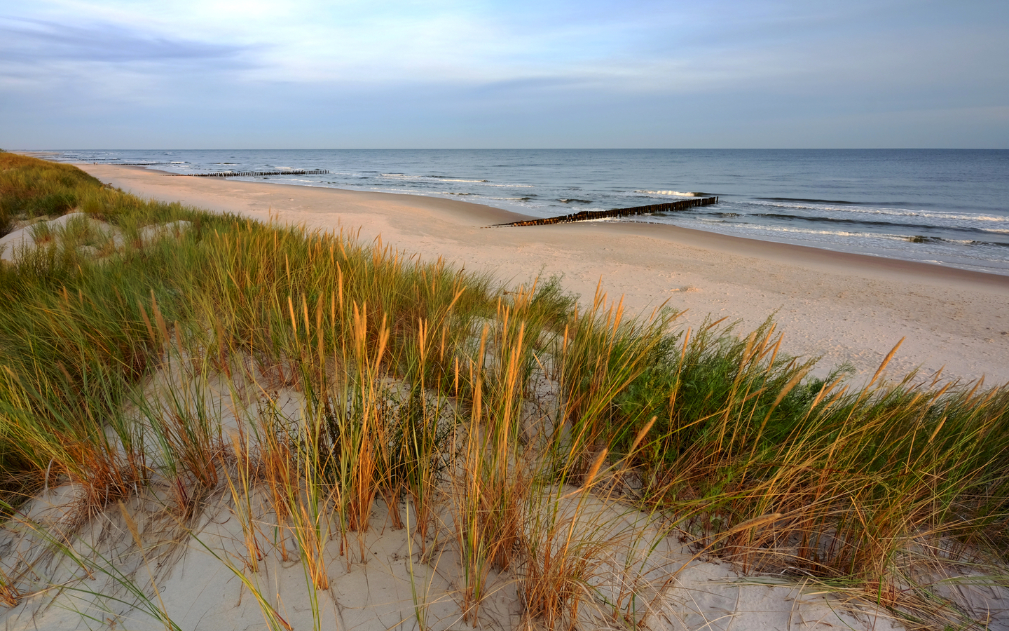 Sanddünen an der Ostseeküste von Kolberger Deep