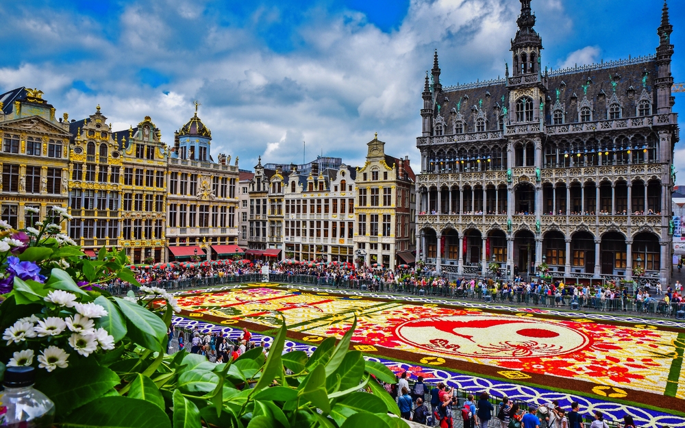 Blumenteppich auf dem Grand Place in Brüssel, umgeben von historischen Gebäuden.