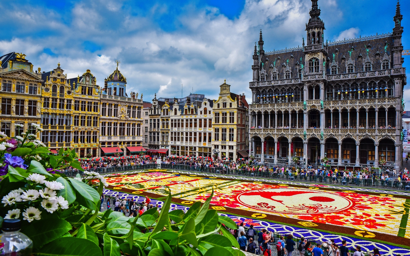 Blumenteppich in Brüssel