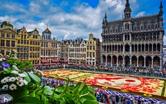 Blumenteppich in Brüssel