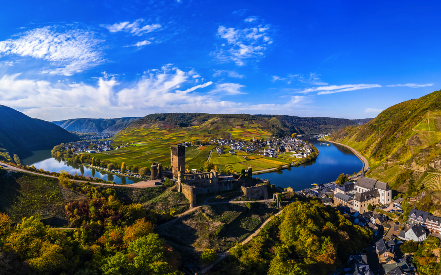 Ellenz-Poltersdorf mit Weinbergen und dem Schloss Metternich