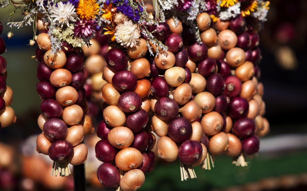 Zwiebeln und Blumen als Dekoration gebündelt.
