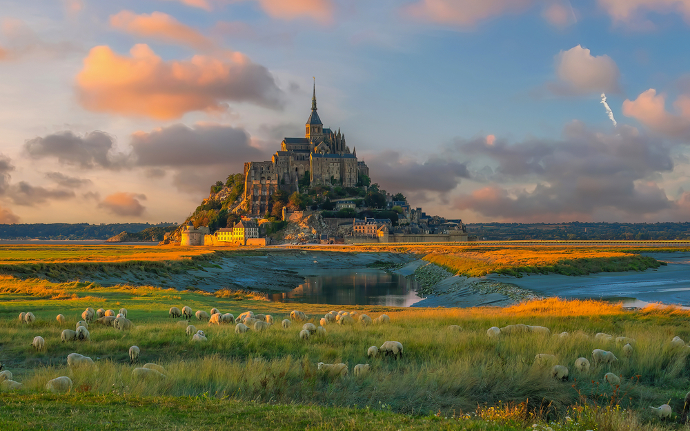 Blick auf den Mont-Saint-Michel bei Sonnenuntergang mit Schafen im Vordergrund.