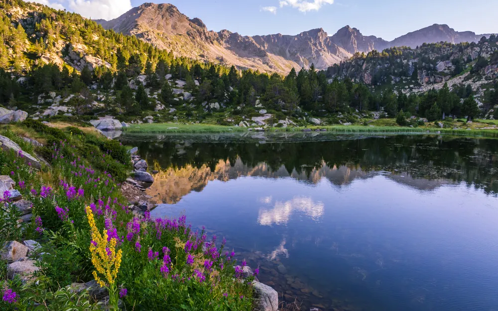 Bergsee mit Berglandschaft, Bäumen und Blumen im Vordergrund bei klarem Himmel.