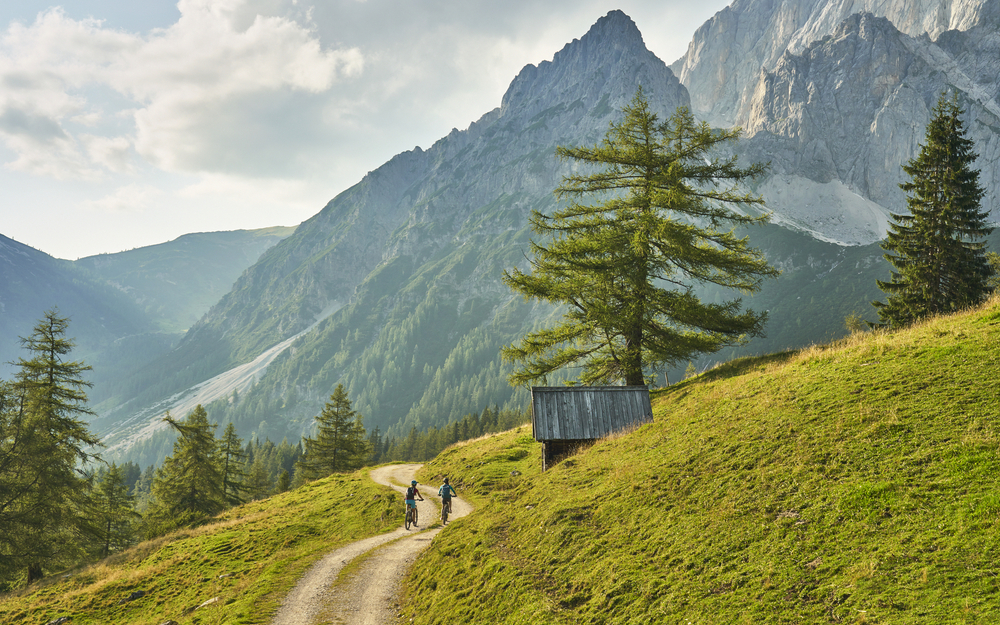 Drei Personen fahren mit E-Bikes auf einem Bergweg, umgeben von Bergen und Wald.