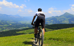 Mountainbiker in den Alpen