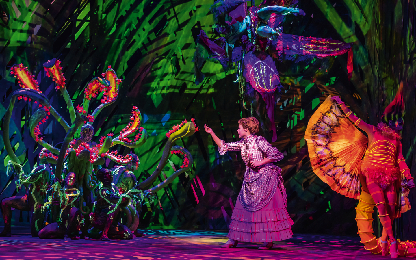 TARZAN -  das Musical