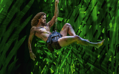 TARZAN -  das Musical