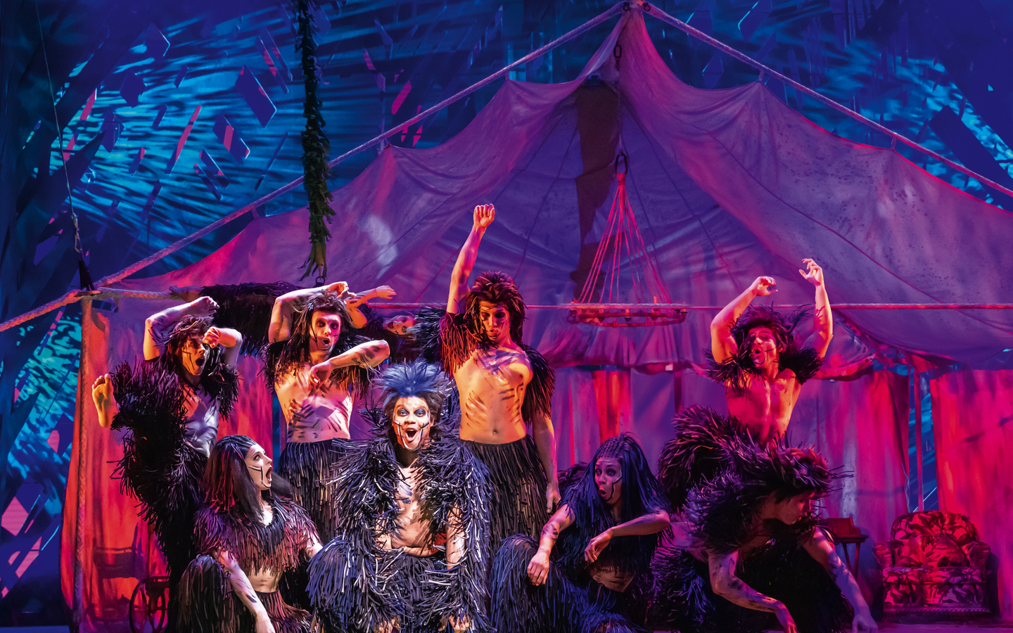 TARZAN -  das Musical