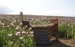 Naturpark Frau Holle Land