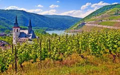 Bingen am Rhein 
