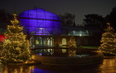Palmengarten Frankfurt