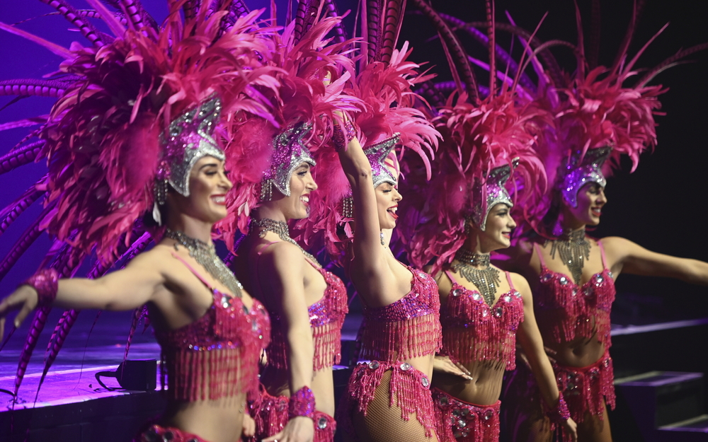 Vegas Show Girls