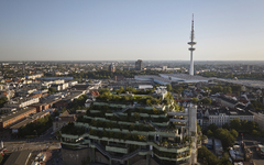 Grüner Bunker in Hamburg