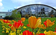 Wiesmoorer Blumenreich