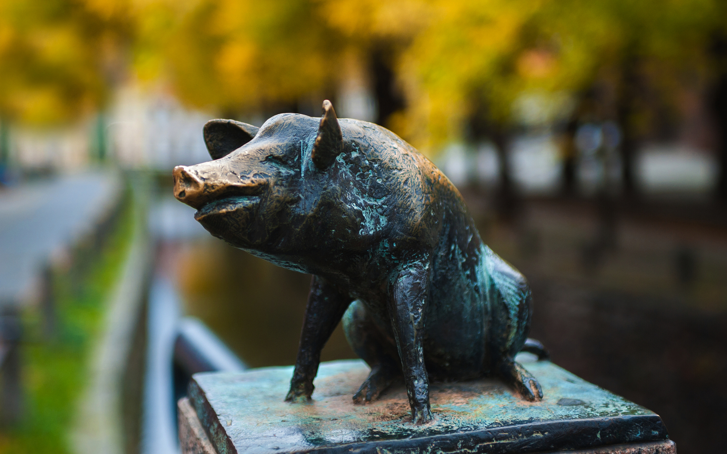 Wismarer Glücksschwein