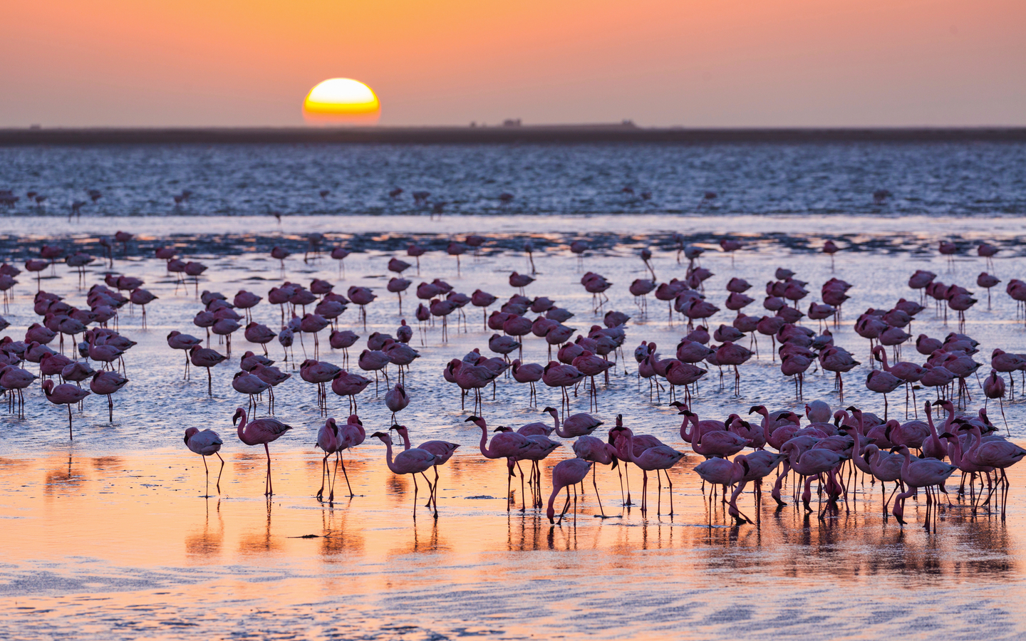 Walvis Bay in Namibia