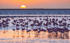 Walvis Bay in Namibia