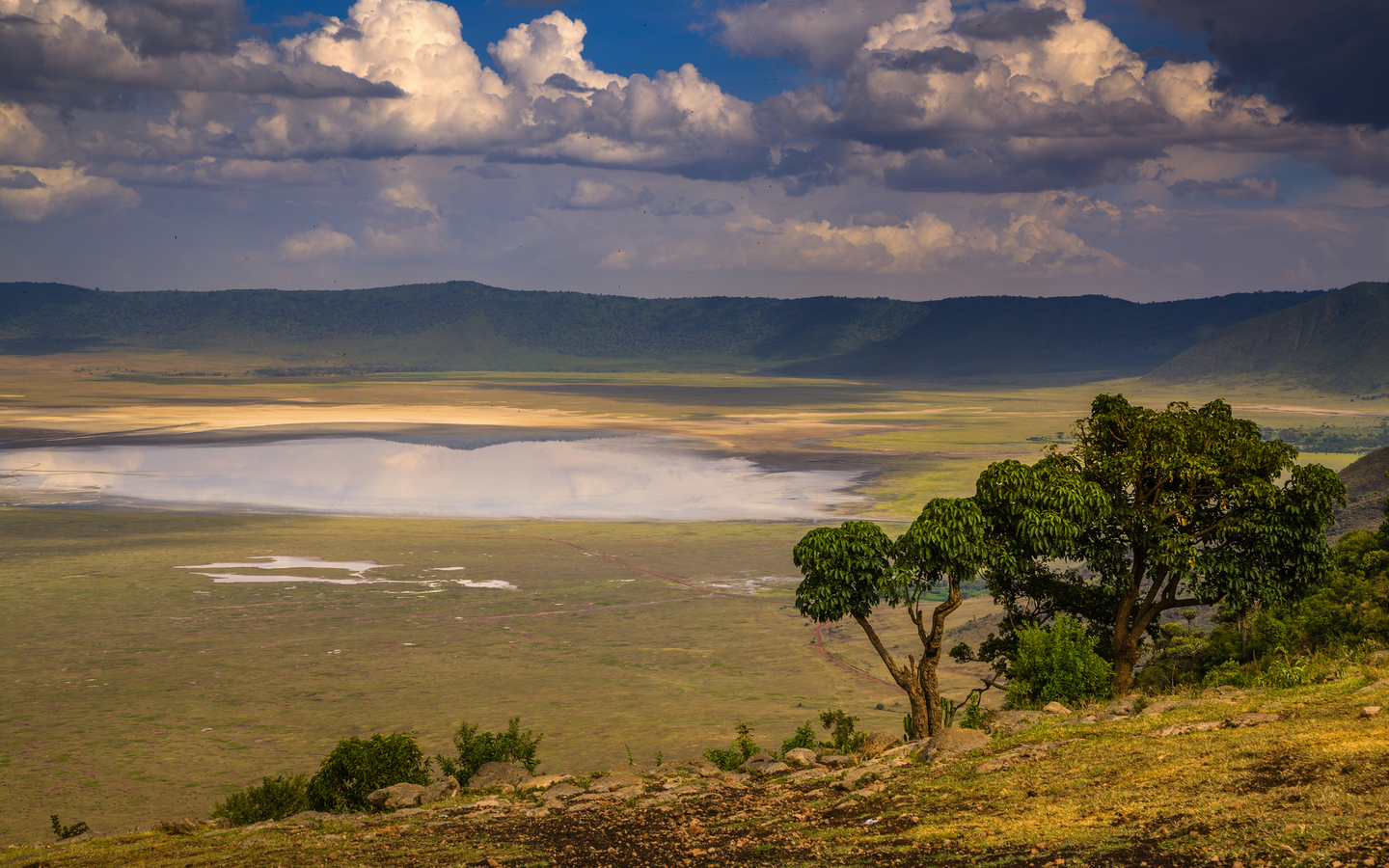 Landschaft im Ngorongoro-Krater