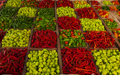 frische Obst und Gemüse auf einem Markt in Sansibar