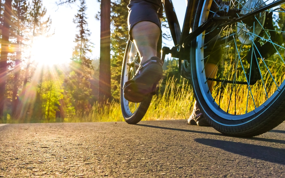 Fahren Sie auf dem Asphaltweg rad, der durch Sonne belichtet wird.