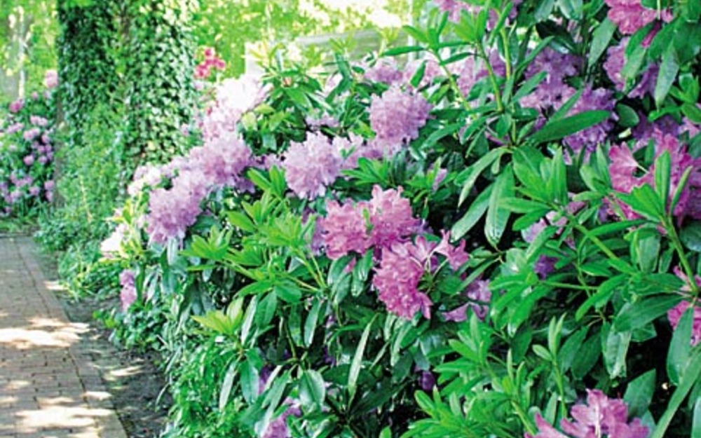 Fremdenverkehrsgesellschaft Bad Zwischenahn