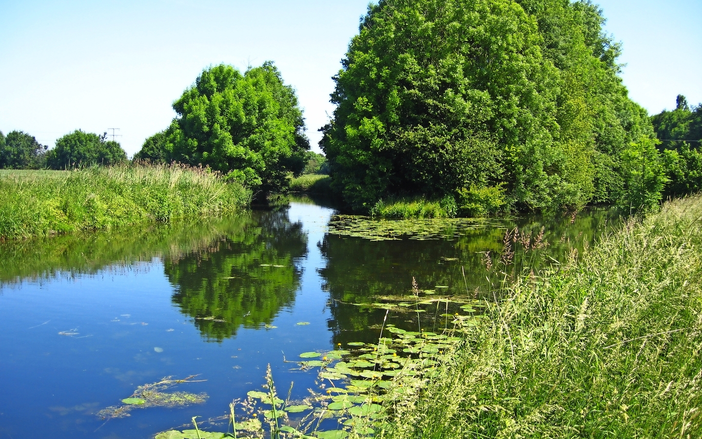 Flussgabelung im Münsterland - Fluss Stever