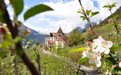 Parrkirche St. Peter im Meraner Land