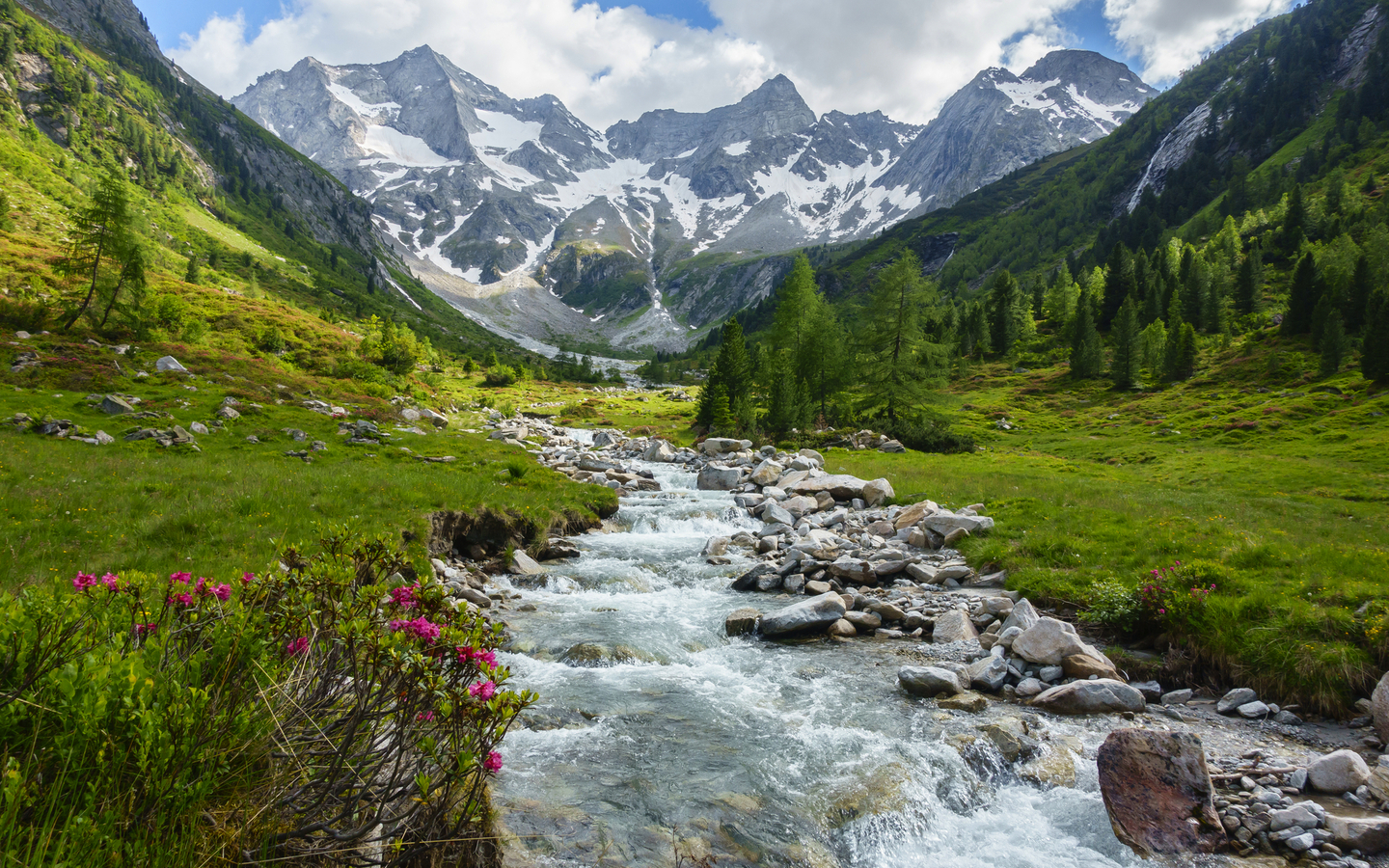 Wildbach vom Gletscher in den österreichischen Bergen