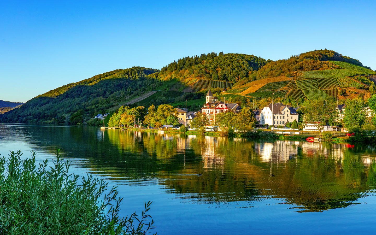 Blick von Alf nach Bullay an der Mosel