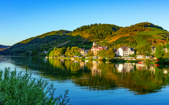 Blick von Alf nach Bullay an der Mosel