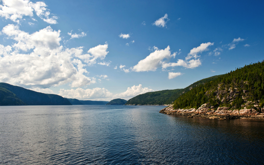 im Saguenay-Fjord treffen kaltes Salzwasser des Sankt-Lorenz-Stroms und Süßwasser aufeinander - ein Ökosystem für Wale