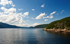 im Saguenay-Fjord treffen kaltes Salzwasser des Sankt-Lorenz-Stroms und Süßwasser aufeinander - ein Ökosystem für Wale