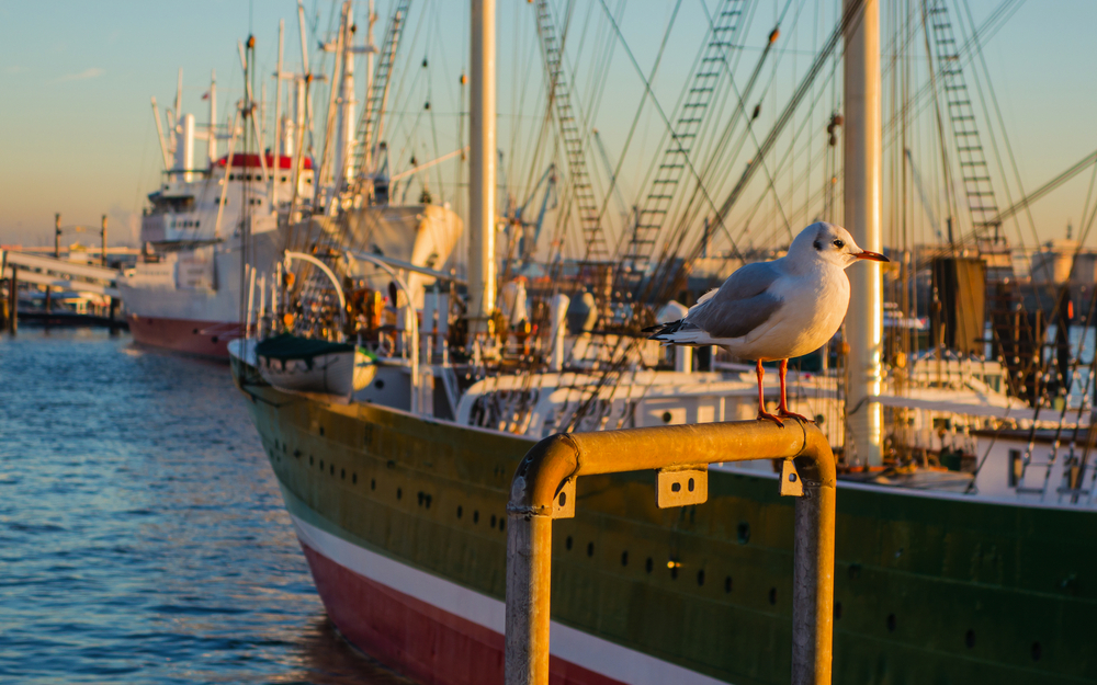 Hamburger Hafen, Deutschland