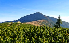 Schneekoppe